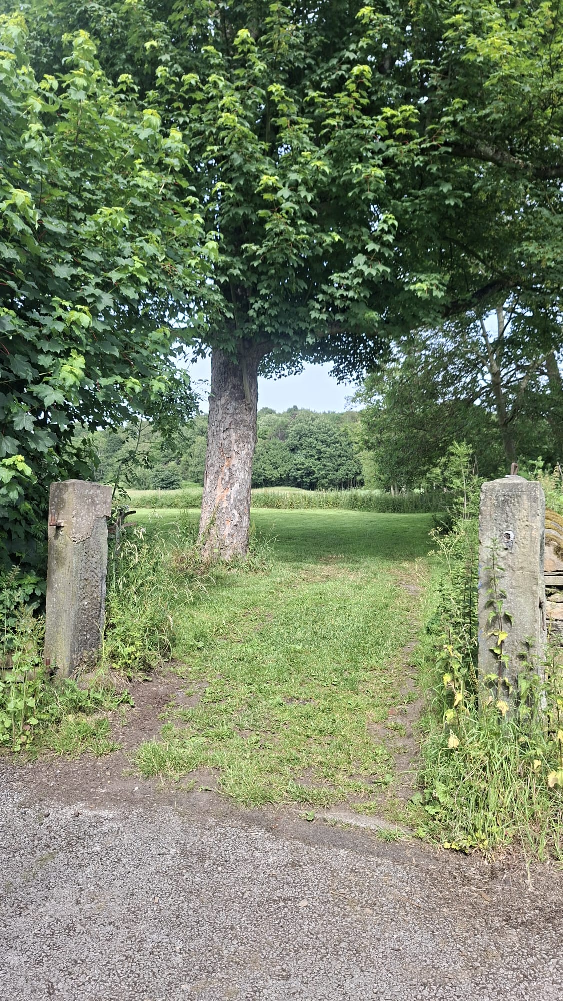 Stone gateposts opening onto a mown green field beneath mature trees