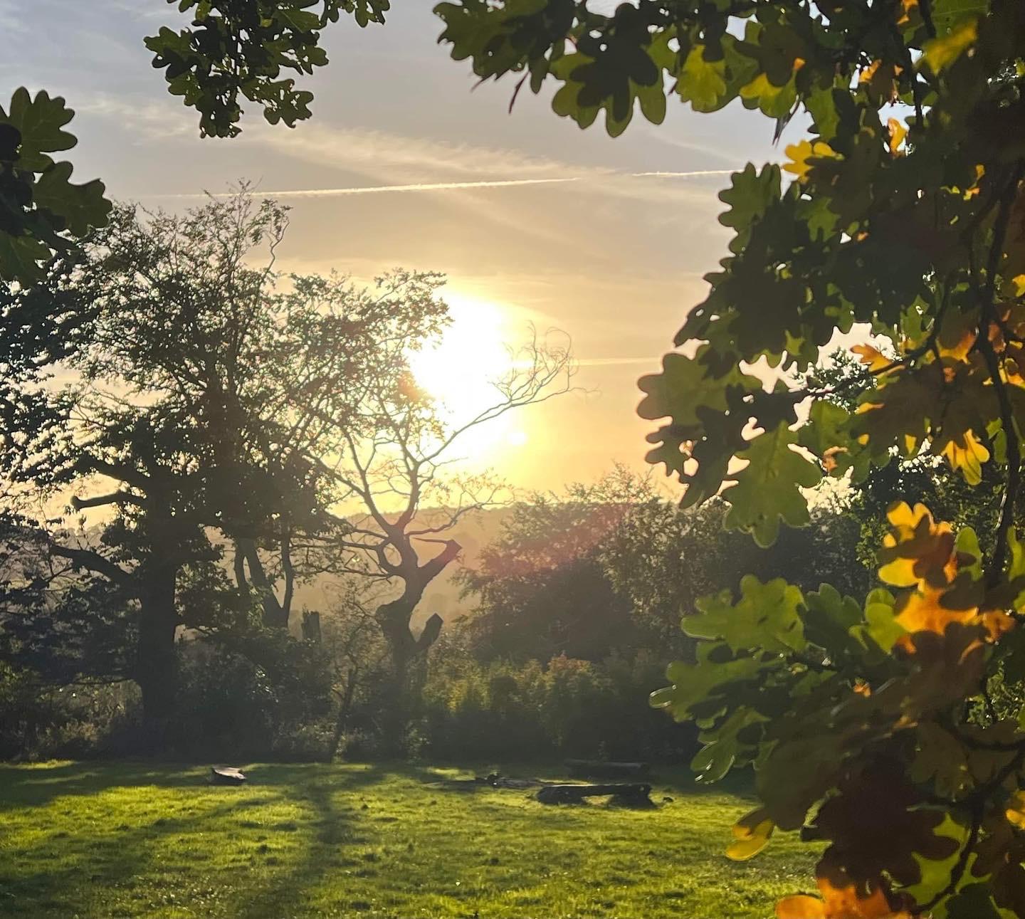 The Gardens